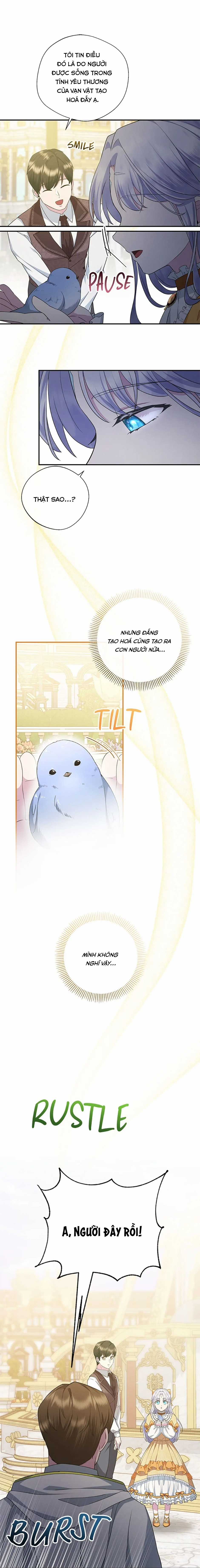 Đoá Violet nở rộ phía sau vườn Chapter 10 trang 13