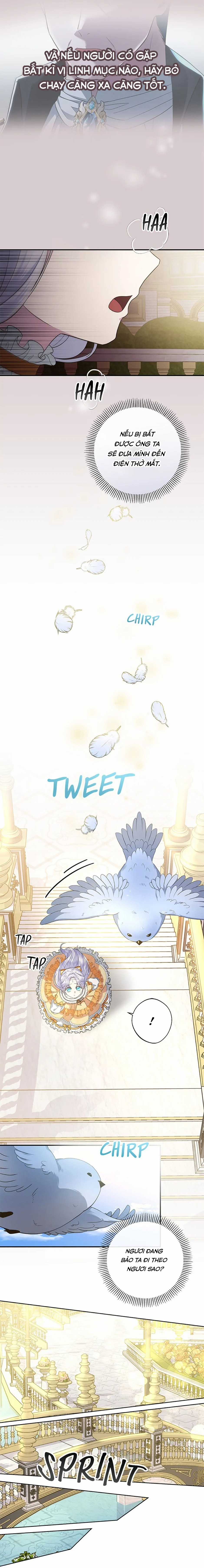 Đoá Violet nở rộ phía sau vườn Chapter 10 trang 18