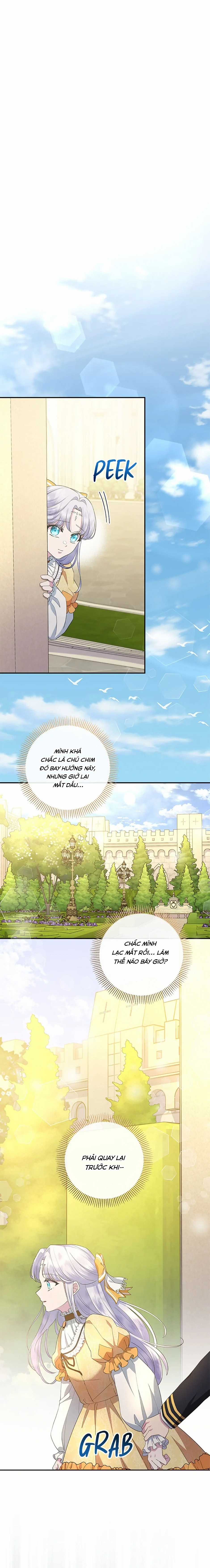 Đoá Violet nở rộ phía sau vườn Chapter 10 trang 19