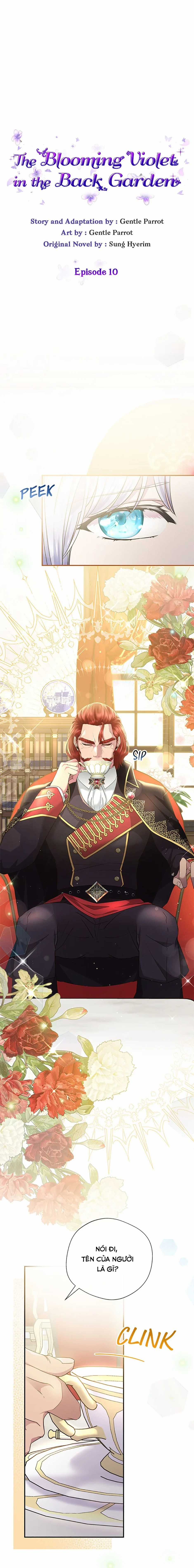 Đoá Violet nở rộ phía sau vườn Chapter 10 trang 3