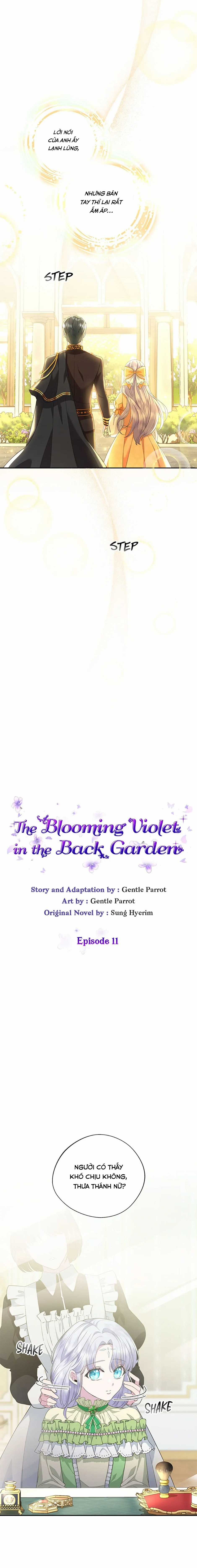 Đoá Violet nở rộ phía sau vườn Chapter 11 trang 9