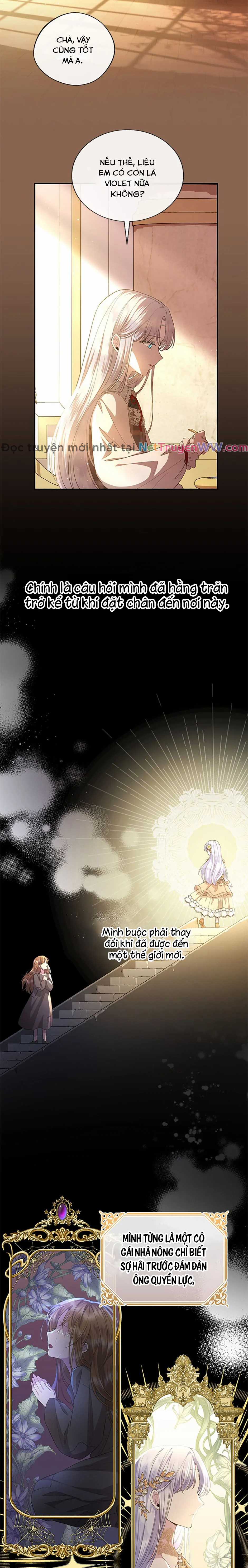 Đoá Violet nở rộ phía sau vườn Chapter 12 trang 18