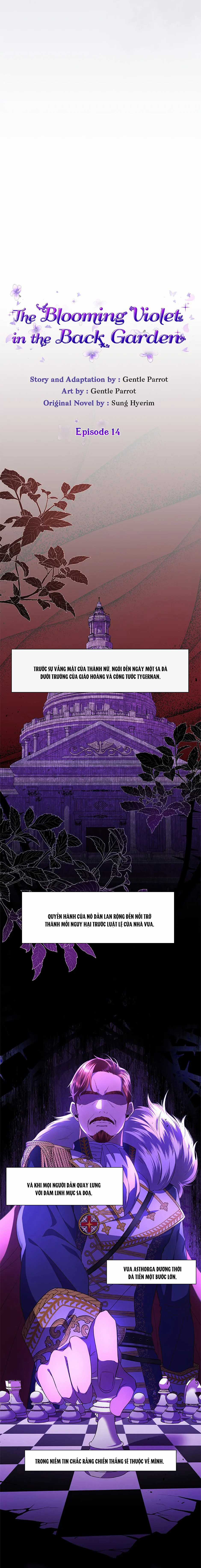 Đoá Violet nở rộ phía sau vườn Chapter 14 trang 5