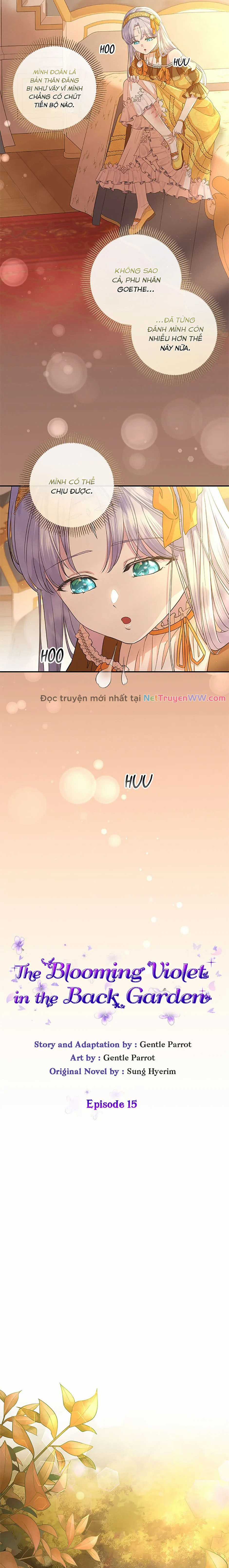 Đoá Violet nở rộ phía sau vườn Chapter 15 trang 4