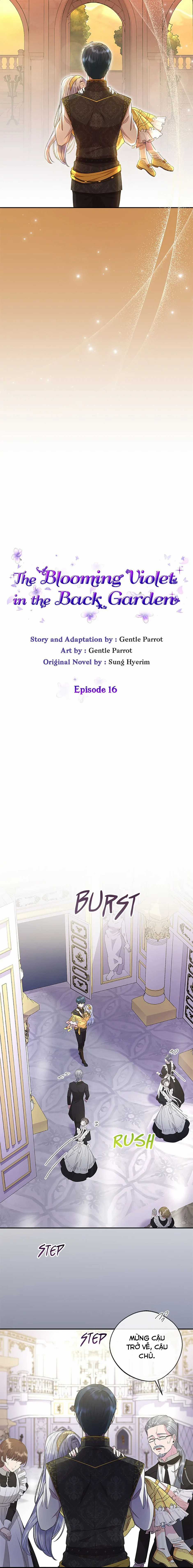 Đoá Violet nở rộ phía sau vườn Chapter 16 trang 5