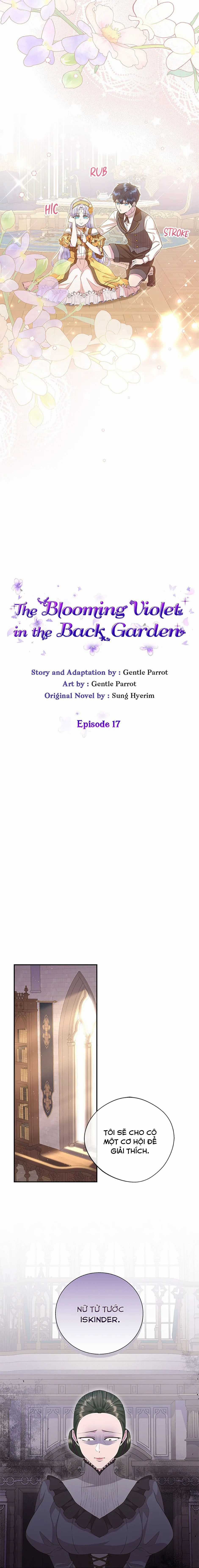 Đoá Violet nở rộ phía sau vườn Chapter 17 trang 5