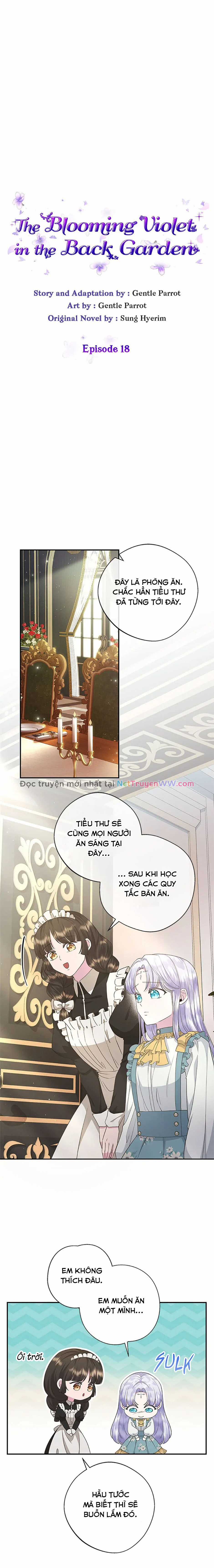 Đoá Violet nở rộ phía sau vườn Chapter 18 trang 6