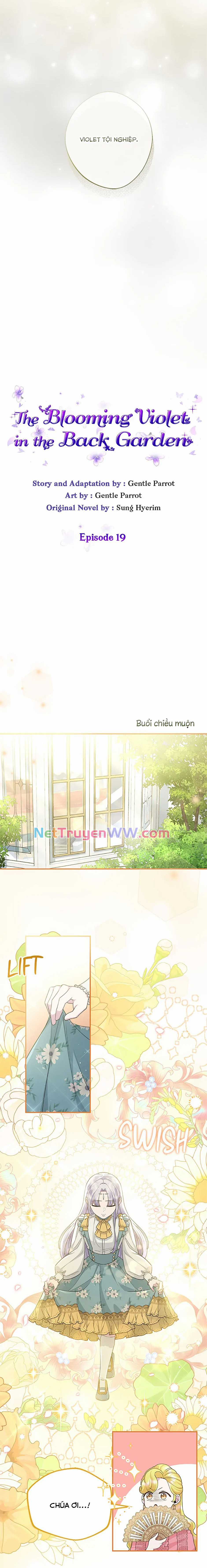 Đoá Violet nở rộ phía sau vườn Chapter 19 trang 6