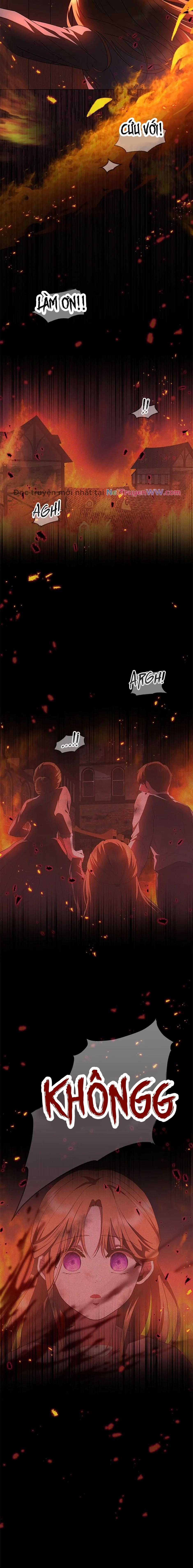 Đoá Violet nở rộ phía sau vườn Chapter 2 trang 11