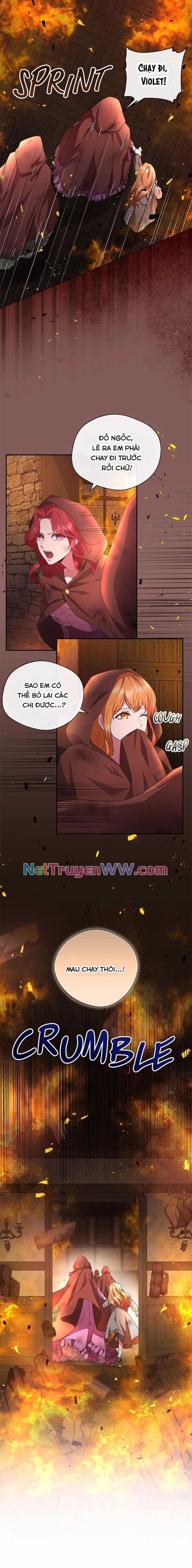Đoá Violet nở rộ phía sau vườn Chapter 2 trang 13