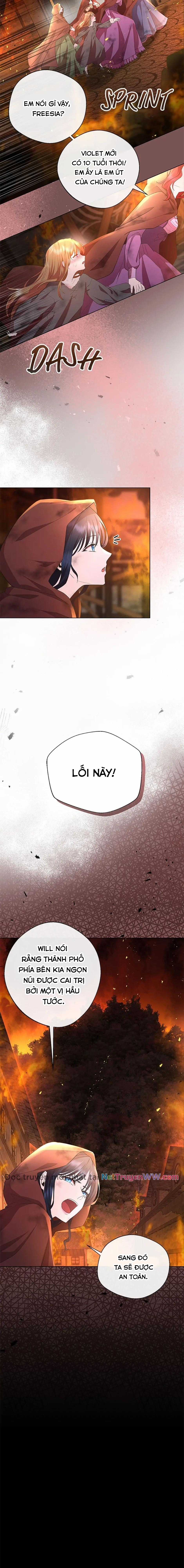 Đoá Violet nở rộ phía sau vườn Chapter 2 trang 15