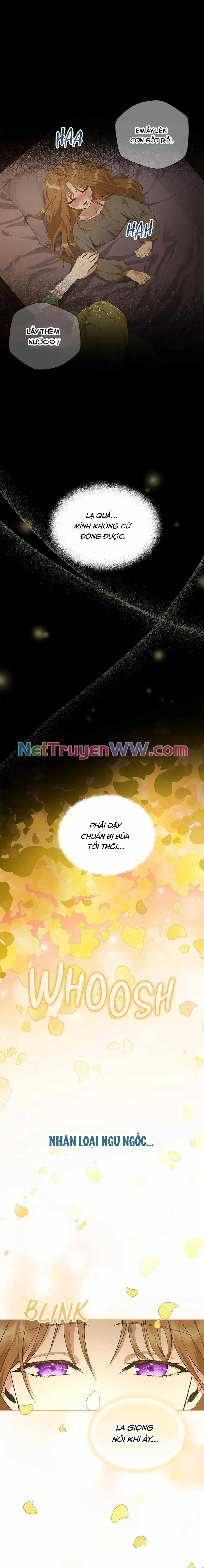 Đoá Violet nở rộ phía sau vườn Chapter 2 trang 5