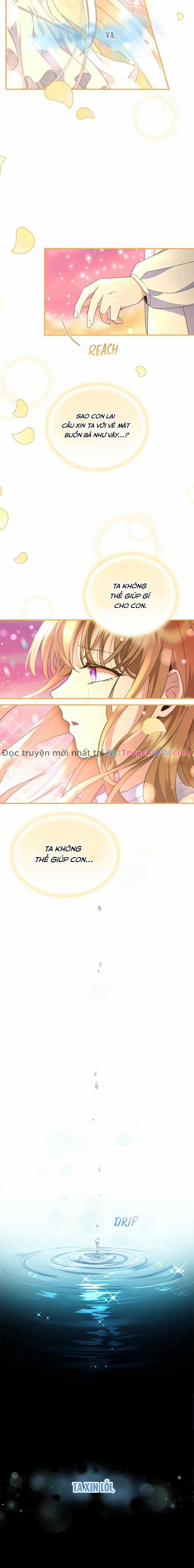 Đoá Violet nở rộ phía sau vườn Chapter 2 trang 7