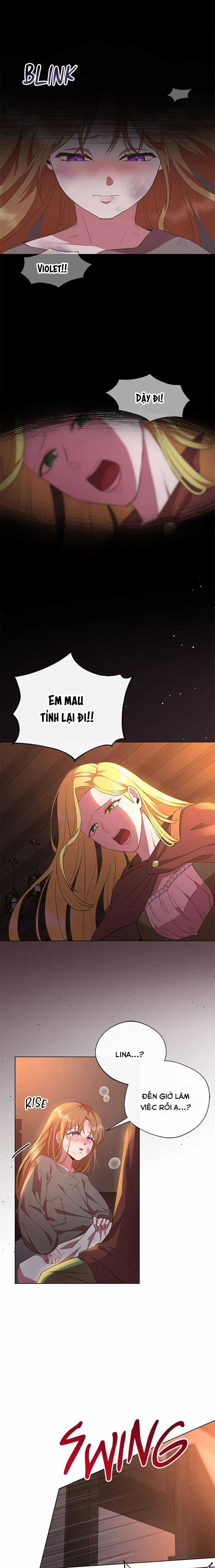 Đoá Violet nở rộ phía sau vườn Chapter 2 trang 8