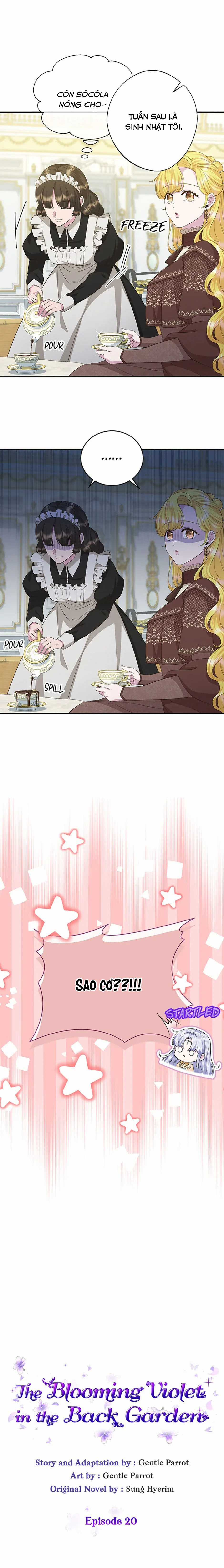 Đoá Violet nở rộ phía sau vườn Chapter 20 trang 2