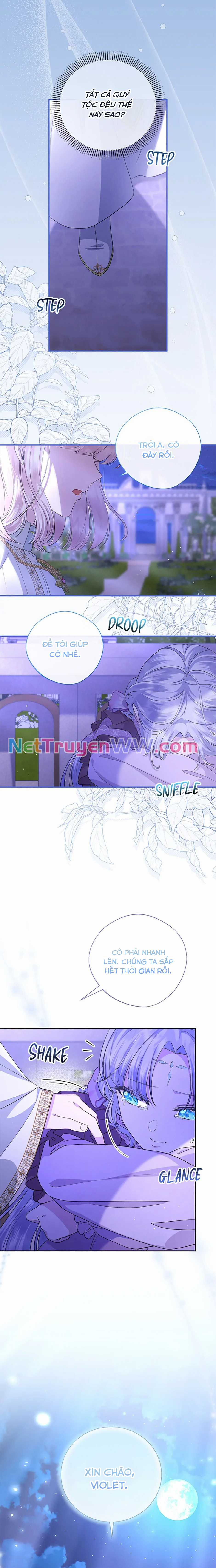 Đoá Violet nở rộ phía sau vườn Chapter 21 trang 8