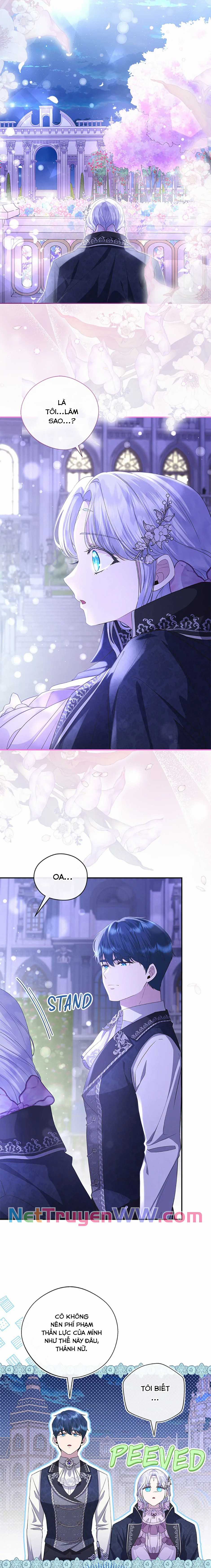 Đoá Violet nở rộ phía sau vườn Chapter 22 trang 10