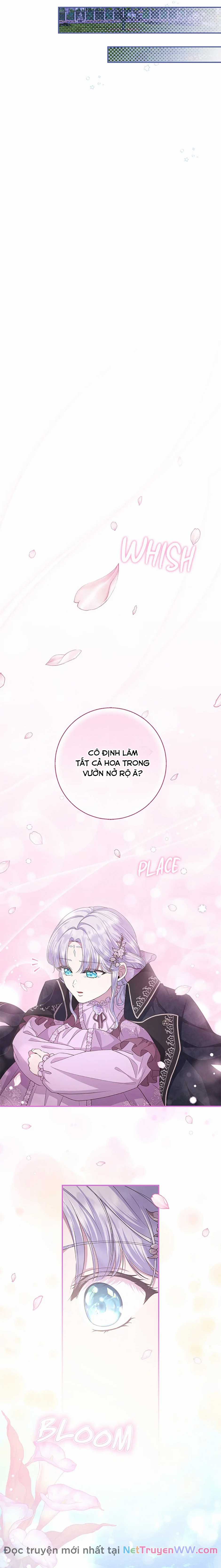 Đoá Violet nở rộ phía sau vườn Chapter 22 trang 9