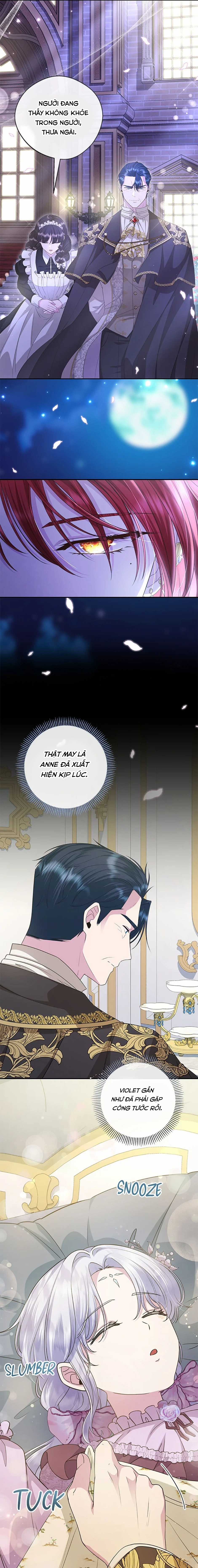 Đoá Violet nở rộ phía sau vườn Chapter 23 trang 10