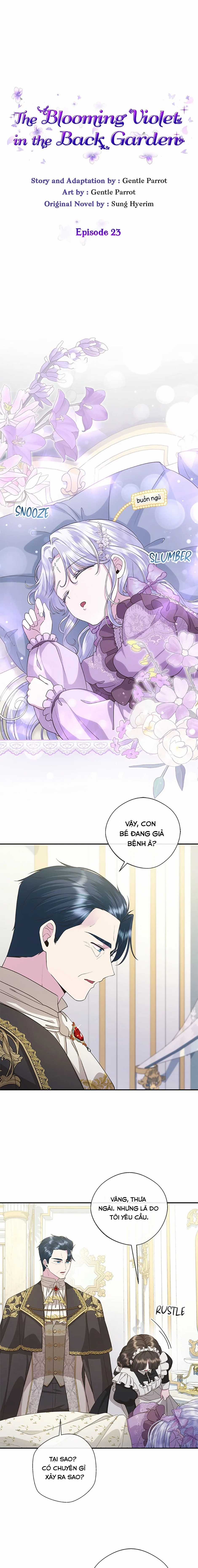 Đoá Violet nở rộ phía sau vườn Chapter 23 trang 5