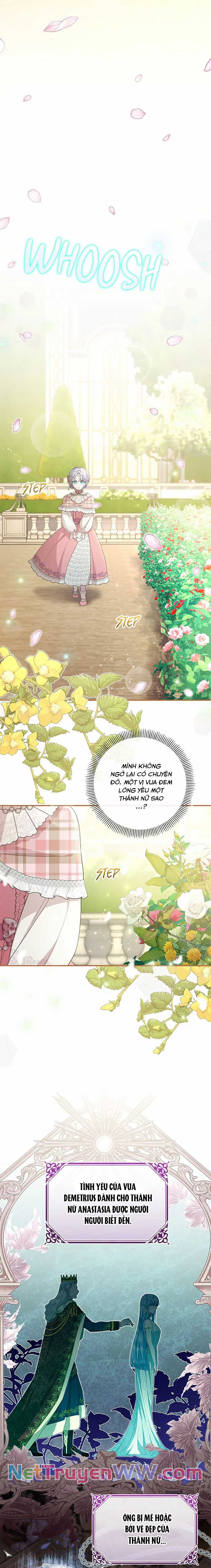 Đoá Violet nở rộ phía sau vườn Chapter 24 trang 11