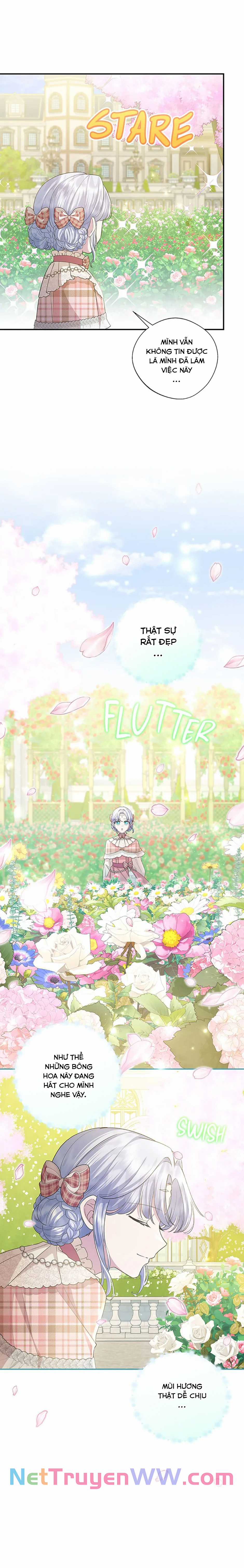 Đoá Violet nở rộ phía sau vườn Chapter 24 trang 13