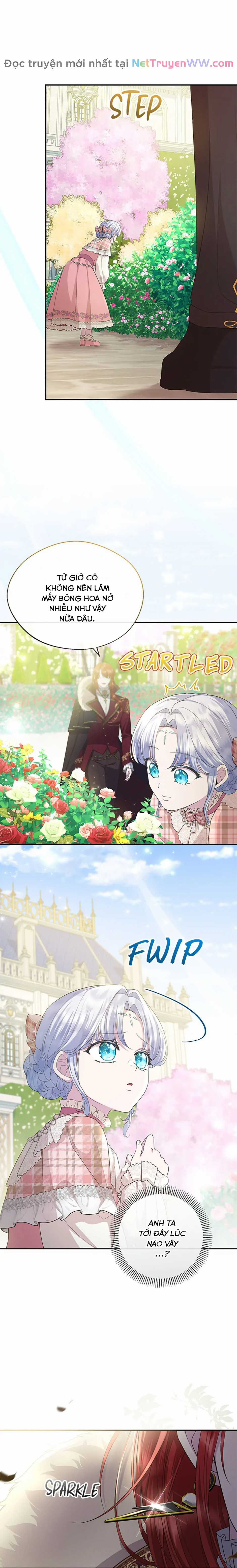 Đoá Violet nở rộ phía sau vườn Chapter 24 trang 14