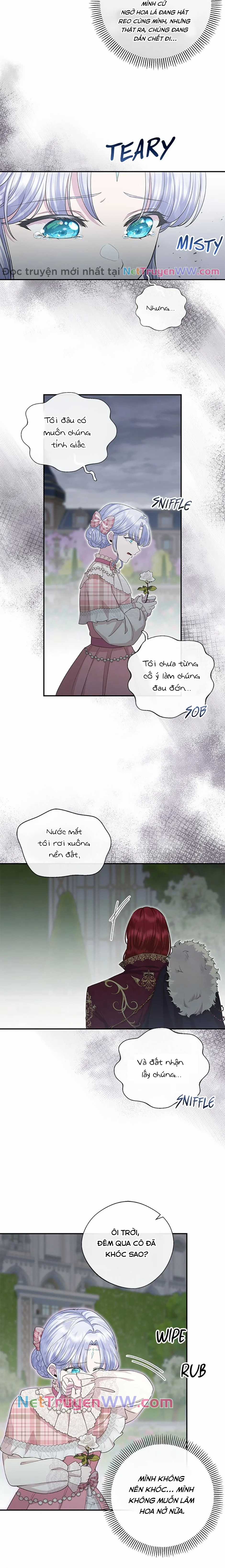 Đoá Violet nở rộ phía sau vườn Chapter 25 trang 10