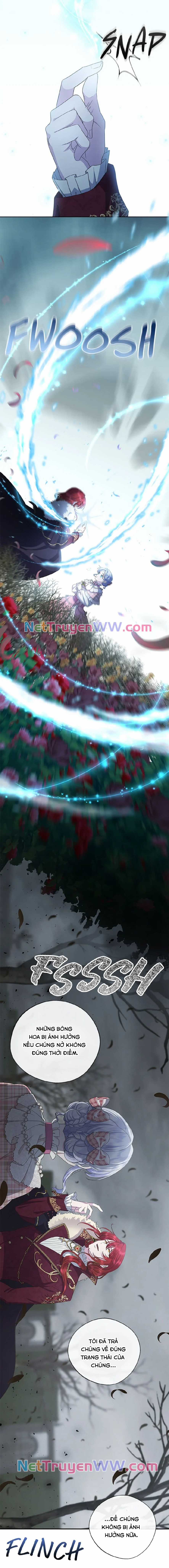 Đoá Violet nở rộ phía sau vườn Chapter 25 trang 15