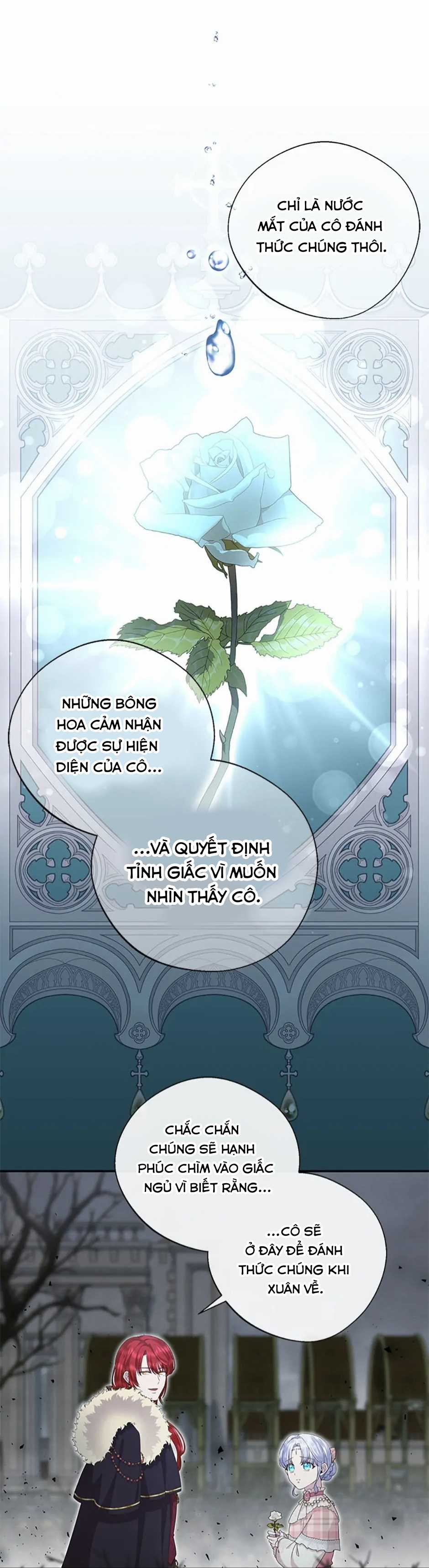 Đoá Violet nở rộ phía sau vườn Chapter 25 trang 17