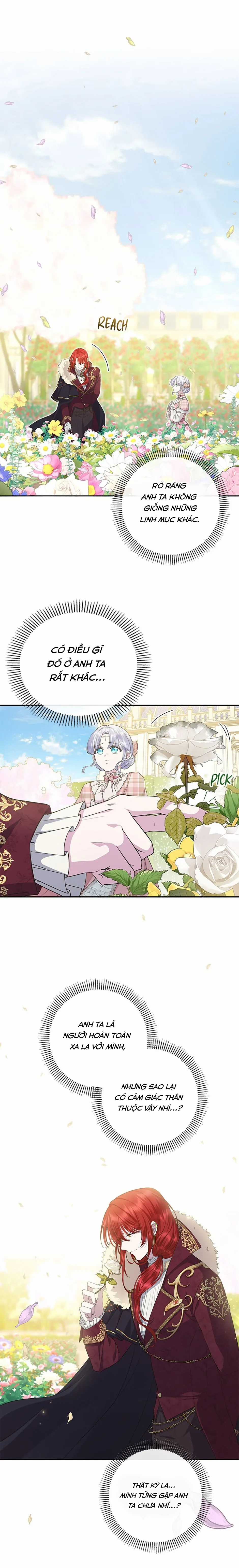 Đoá Violet nở rộ phía sau vườn Chapter 25 trang 4