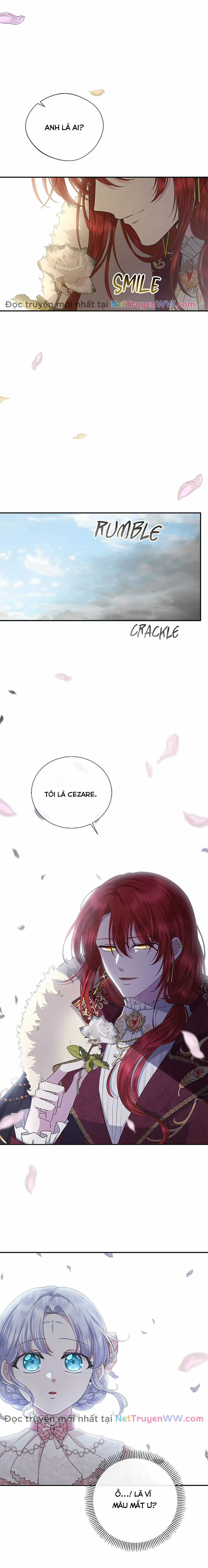 Đoá Violet nở rộ phía sau vườn Chapter 25 trang 5