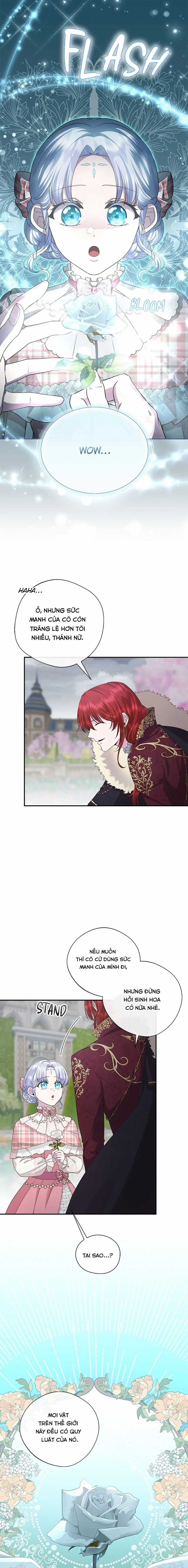 Đoá Violet nở rộ phía sau vườn Chapter 25 trang 7