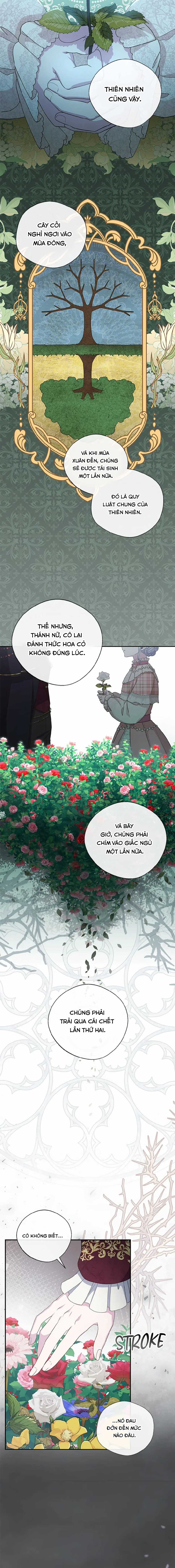 Đoá Violet nở rộ phía sau vườn Chapter 25 trang 8