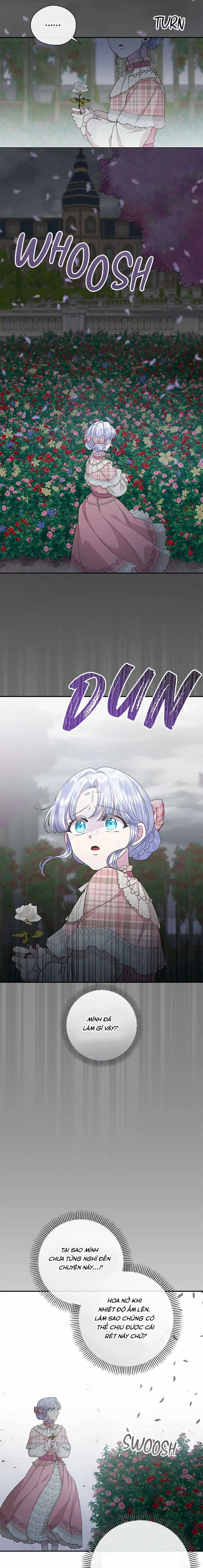 Đoá Violet nở rộ phía sau vườn Chapter 25 trang 9