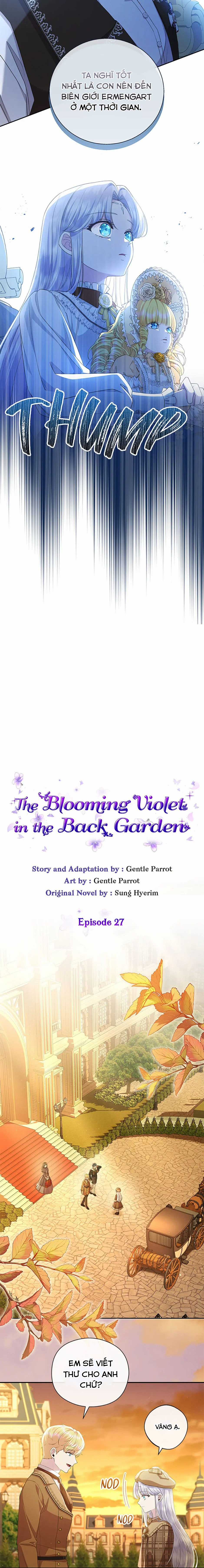 Đoá Violet nở rộ phía sau vườn Chapter 27 trang 5