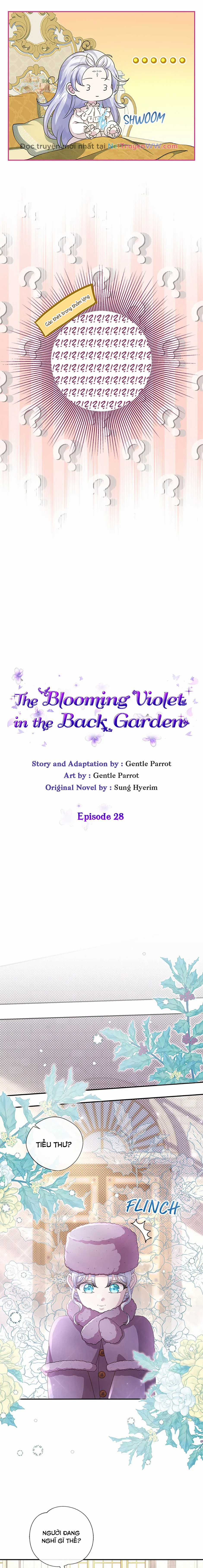Đoá Violet nở rộ phía sau vườn Chapter 28 trang 12