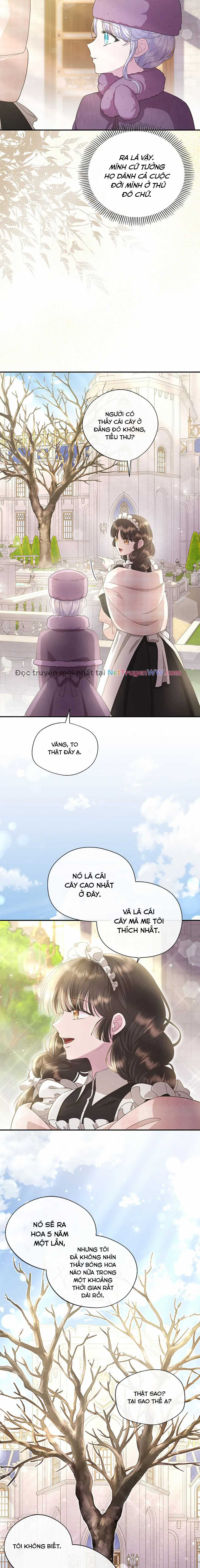 Đoá Violet nở rộ phía sau vườn Chapter 28 trang 14