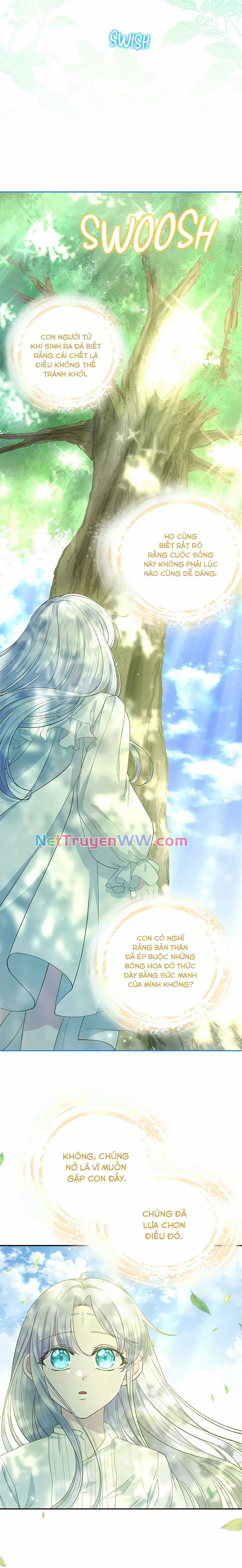 Đoá Violet nở rộ phía sau vườn Chapter 28 trang 8