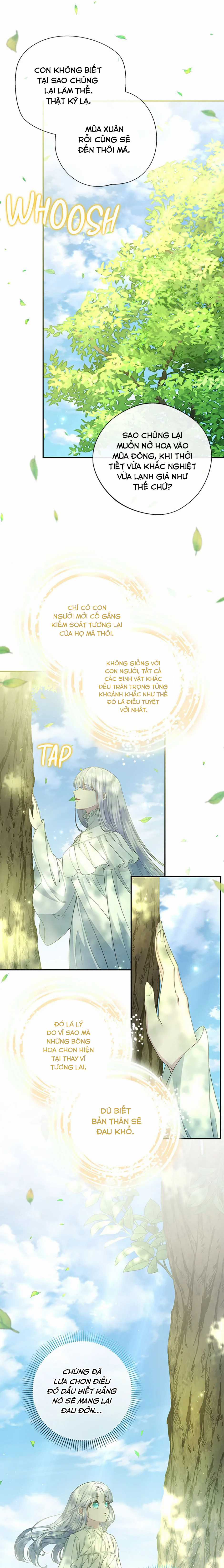 Đoá Violet nở rộ phía sau vườn Chapter 28 trang 9