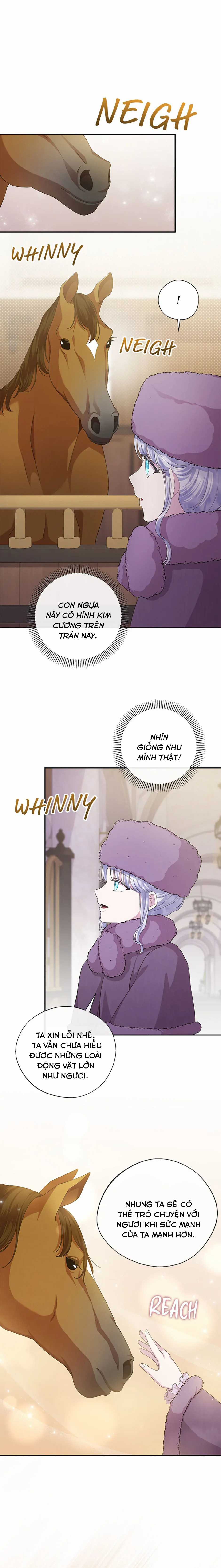 Đoá Violet nở rộ phía sau vườn Chapter 29 trang 4