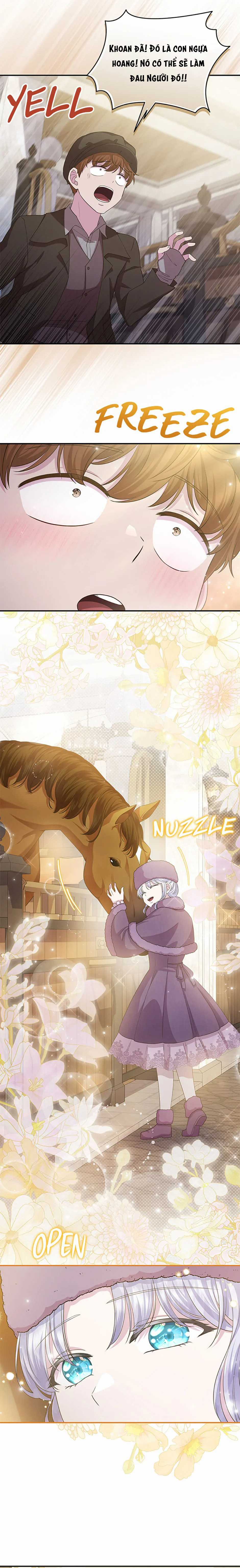 Đoá Violet nở rộ phía sau vườn Chapter 29 trang 5