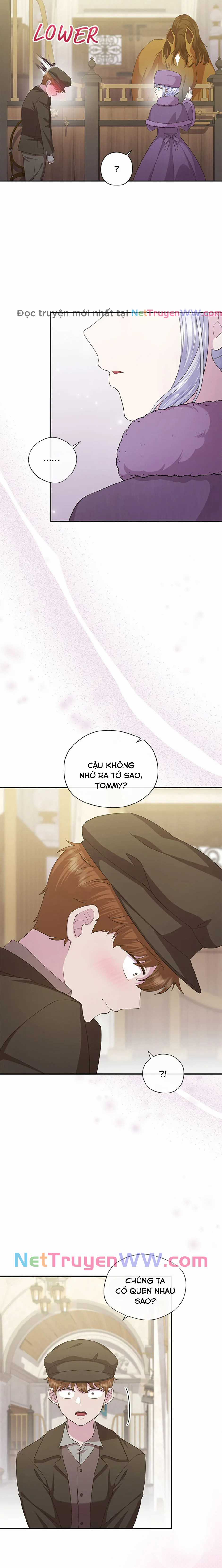 Đoá Violet nở rộ phía sau vườn Chapter 29 trang 6