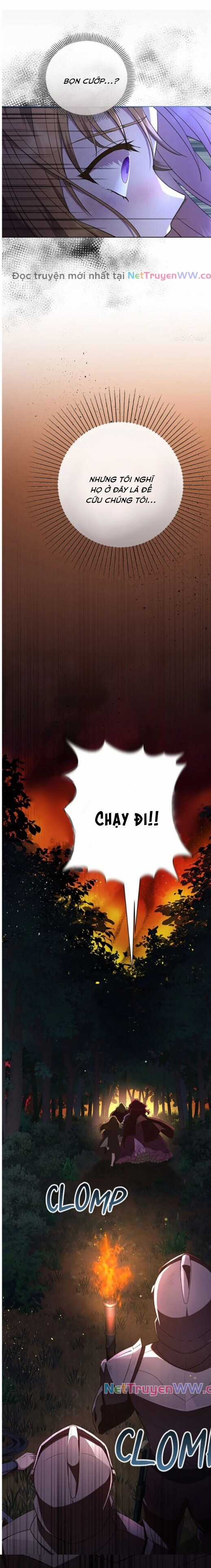 Đoá Violet nở rộ phía sau vườn Chapter 3 trang 7