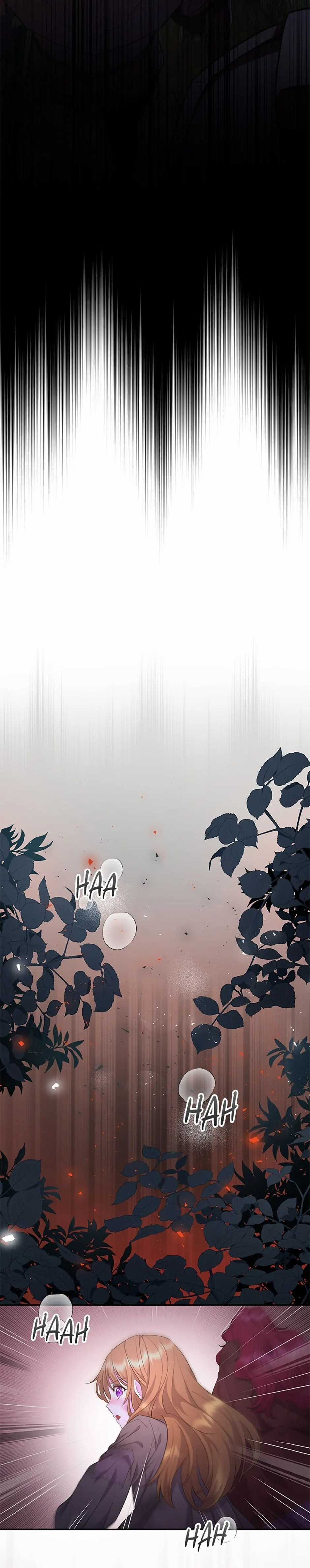 Đoá Violet nở rộ phía sau vườn Chapter 3 trang 8