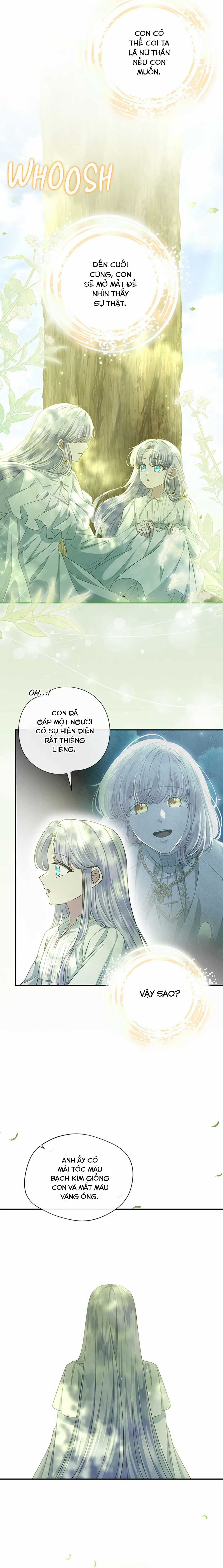 Đoá Violet nở rộ phía sau vườn Chapter 30 trang 11