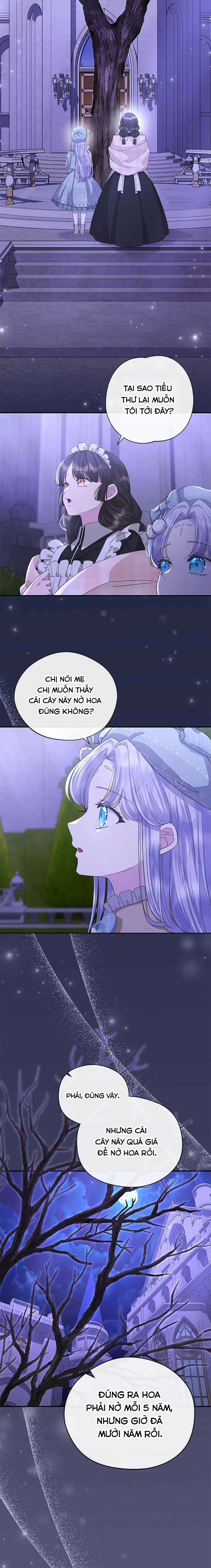 Đoá Violet nở rộ phía sau vườn Chapter 31 trang 12