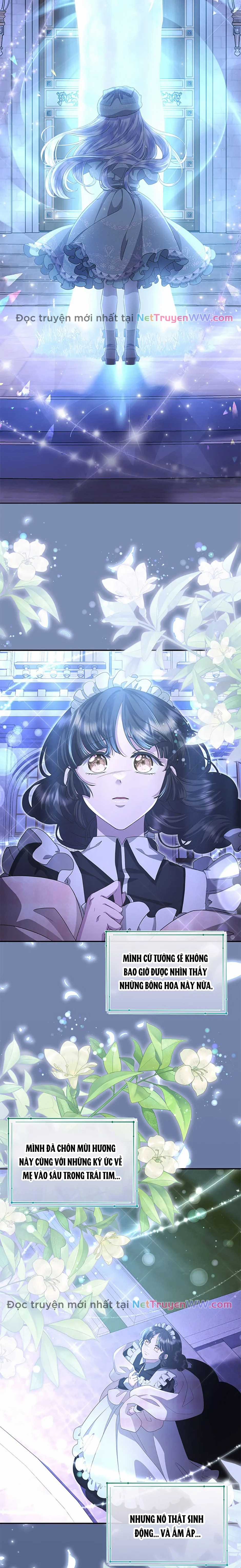 Đoá Violet nở rộ phía sau vườn Chapter 31 trang 15