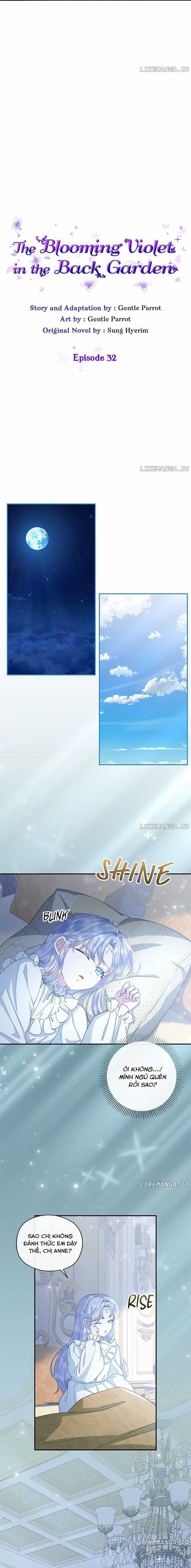 Đoá Violet nở rộ phía sau vườn Chapter 32 trang 5