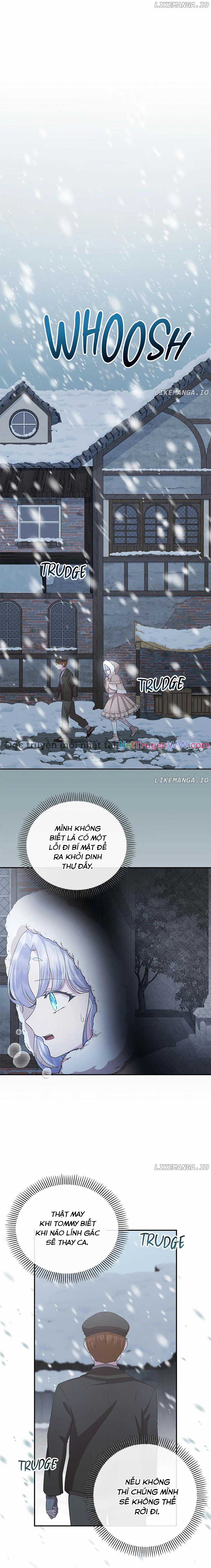 Đoá Violet nở rộ phía sau vườn Chapter 33 trang 10